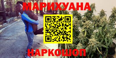 не бодяженный Кингисепп